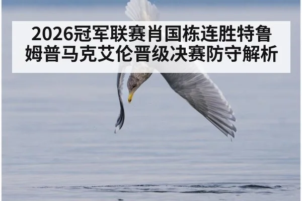 2026冠军联赛肖国栋连胜特鲁姆普马克艾伦晋级决赛防守解析