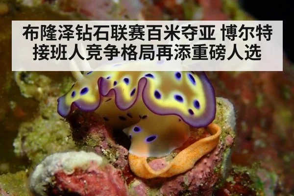 布隆泽钻石联赛百米夺亚 博尔特接班人竞争格局再添重磅人选