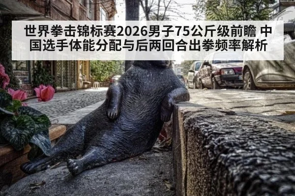 世界拳击锦标赛2026男子75公斤级前瞻 中国选手体能分配与后两回合出拳频率解析
