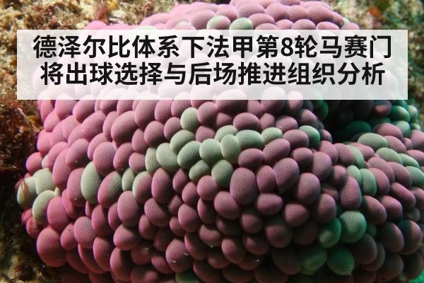 德泽尔比体系下法甲第8轮马赛门将出球选择与后场推进组织分析